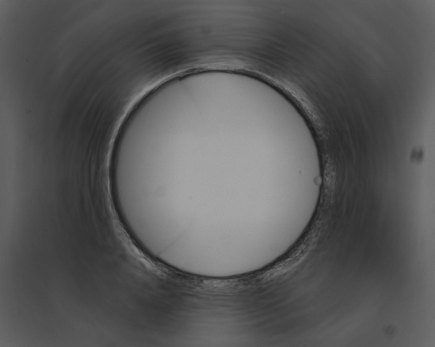 X0000095550840200801041329