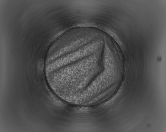 X0000095550841200801041329