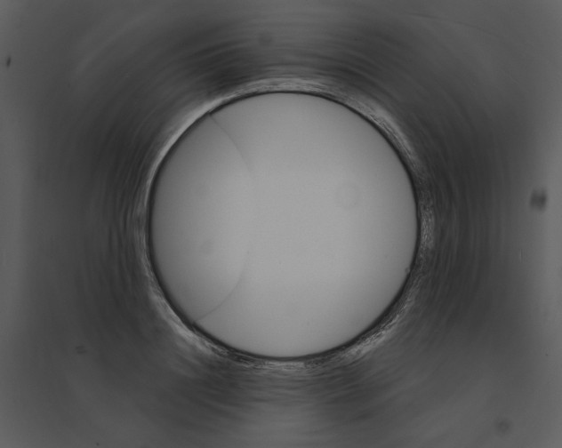 X0000095550844200801041329