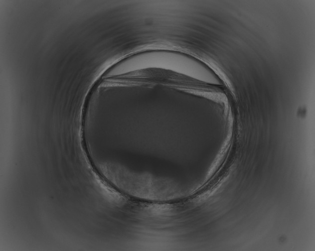 X0000095550845200801041329