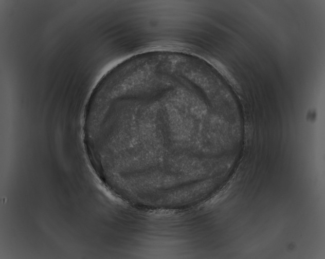 X0000095550846200801041329