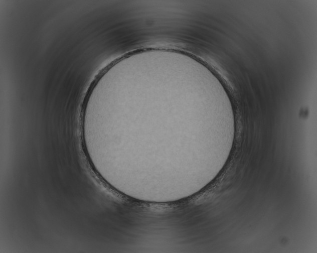 X0000095550848200801041329