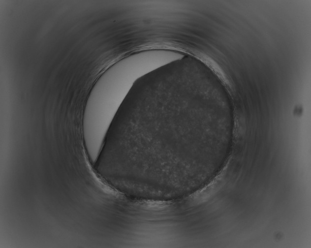 X0000095550849200801041329