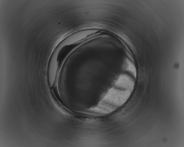 X0000095550850200801041329