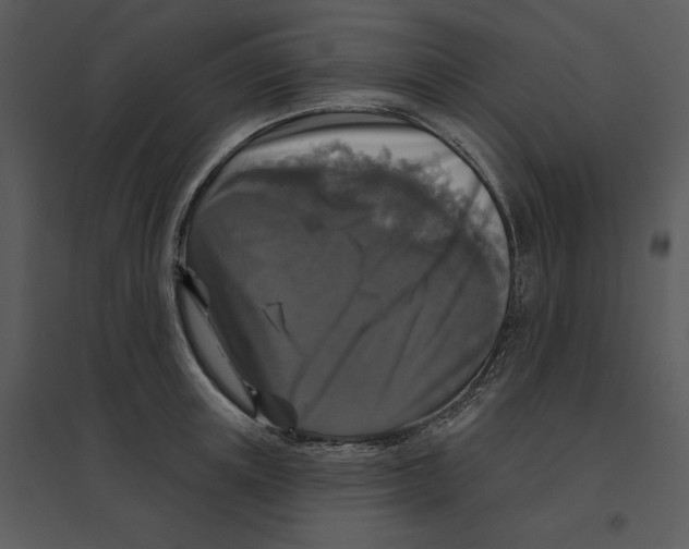 X0000095550851200801041329