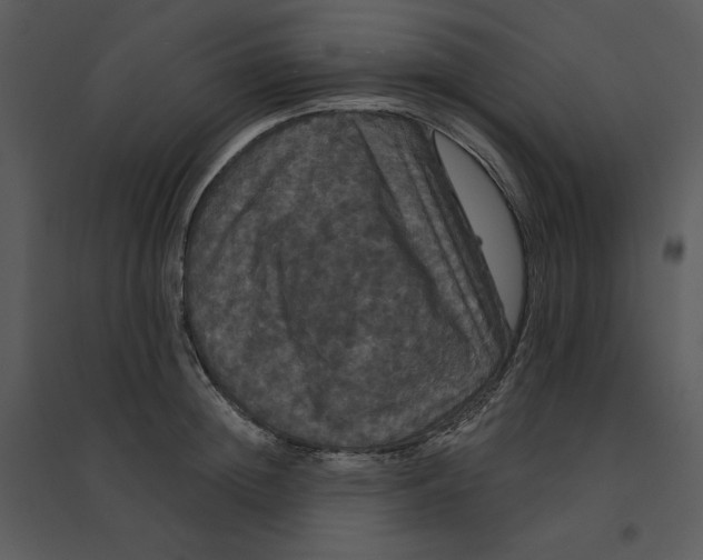 X0000095550852200801041329