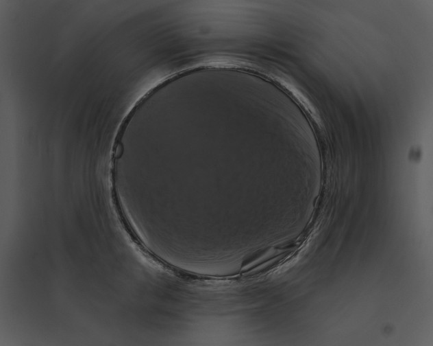 X0000095550853200801041329