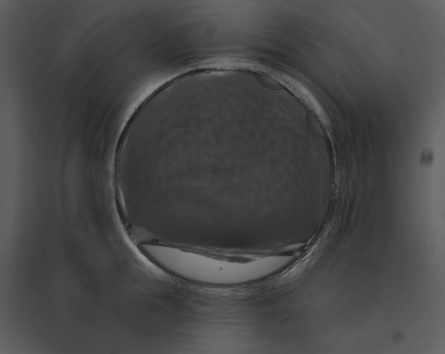 X0000095550855200801041329