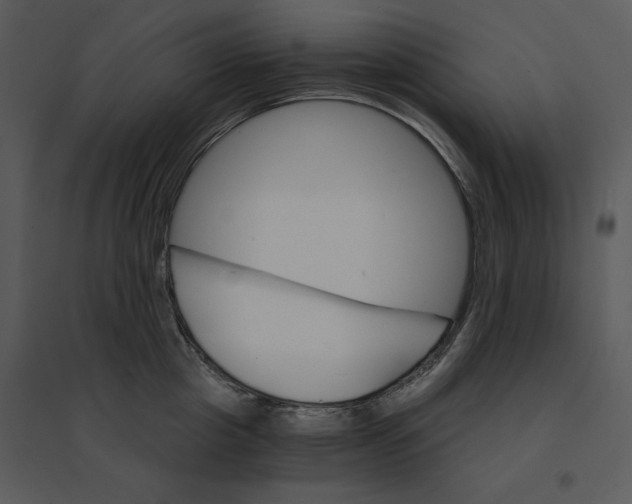 X0000095550857200801041329