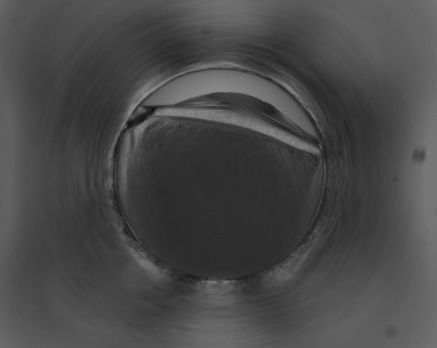 X0000095550858200801041329