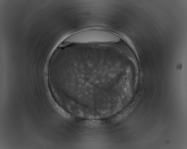 X0000095550859200801041329