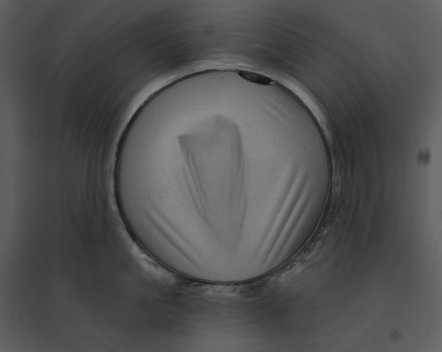 X0000095550861200801041329