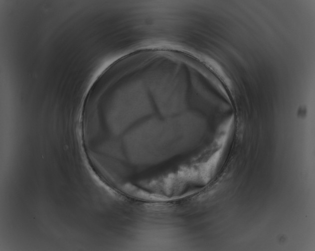 X0000095550863200801041329