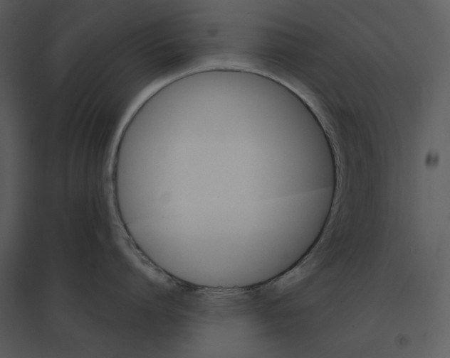 X0000095550864200801041329