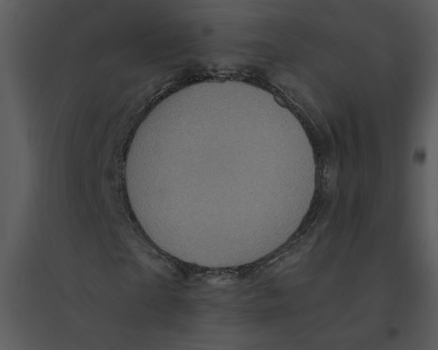 X0000095550865200801041329