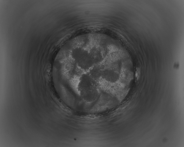 X0000095550867200801041329