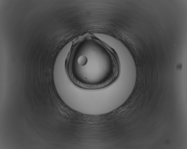 X0000095550868200801041329