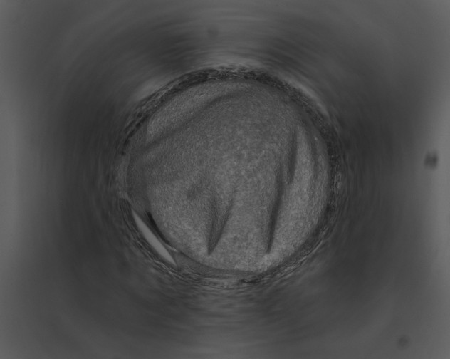 X0000095550869200801041329