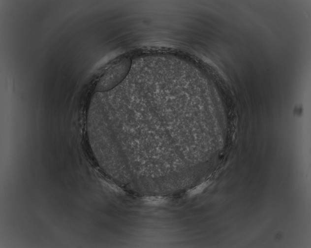 X0000095550870200801041329