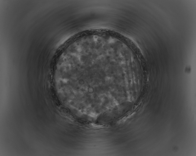 X0000095550871200801041329