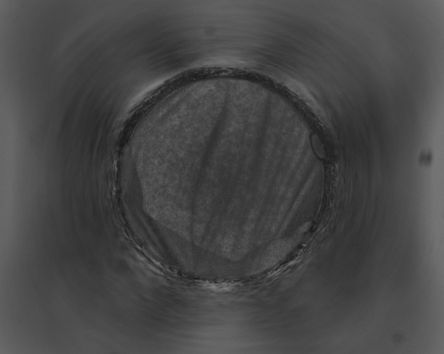 X0000095550872200801041329