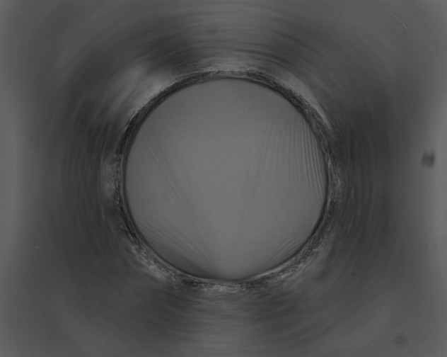 X0000095550874200801041329