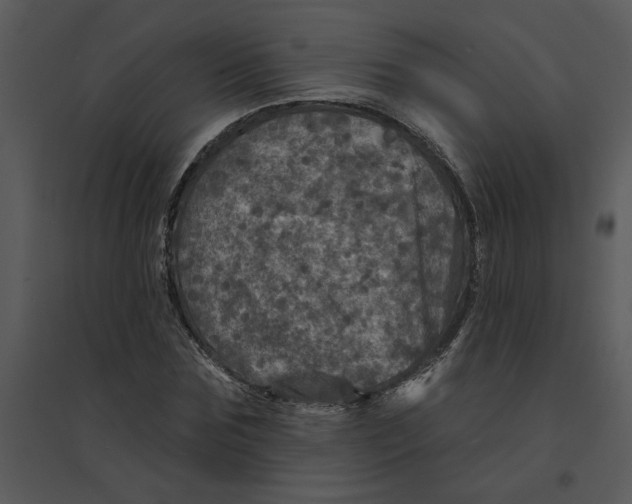 X0000095550875200801041329