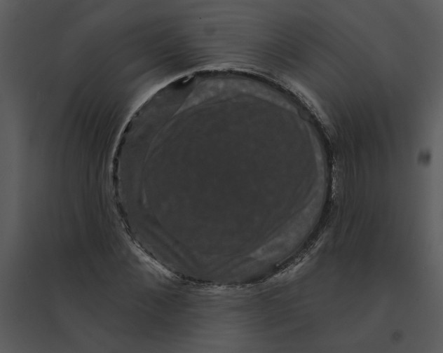 X0000095550876200801041329