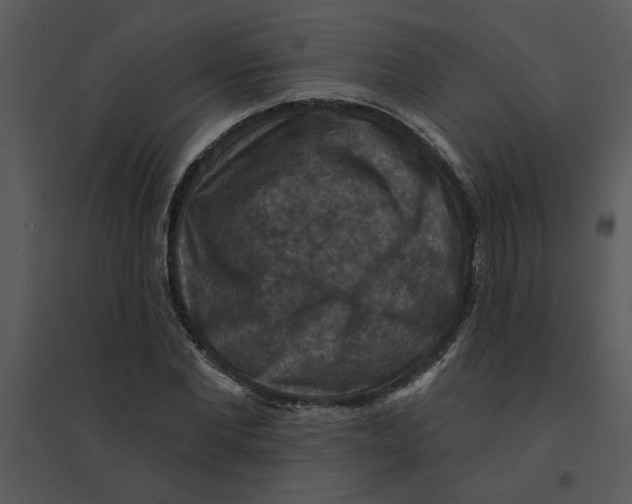 X0000095550877200801041329