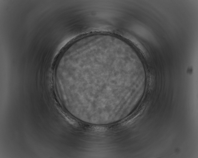 X0000095550878200801041328