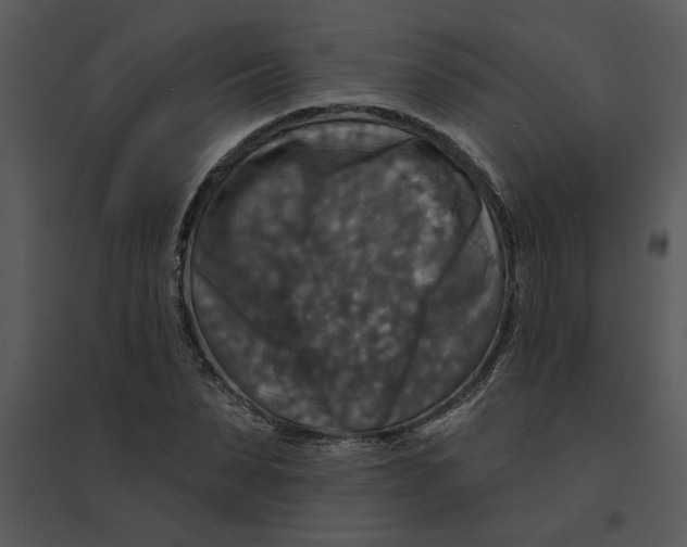 X0000095550879200801041328