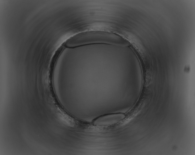 X0000095550880200801041328