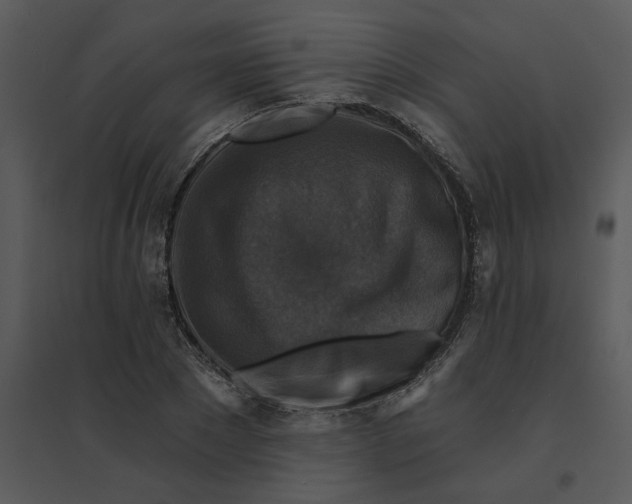 X0000095550881200801041328