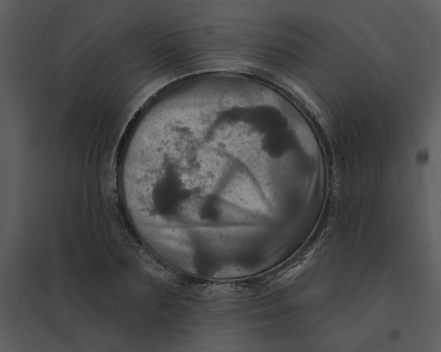 X0000095550883200801041328