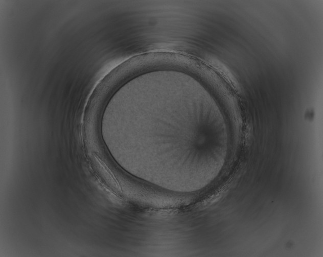 X0000095550884200801041328