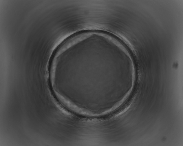 X0000095550885200801041328