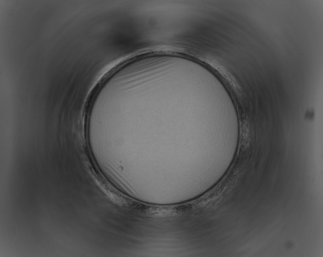 X0000095550886200801041328