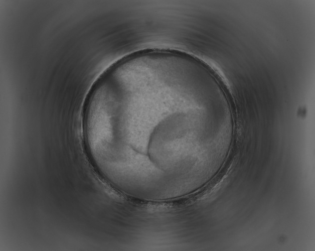 X0000095550887200801041328