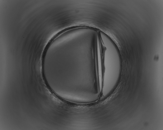 X0000095550888200801041328