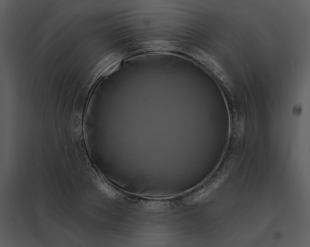 X0000095550889200801041328