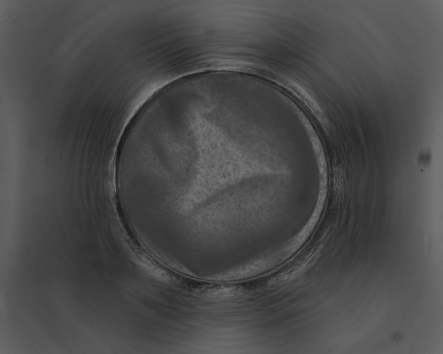 X0000095550891200801041328