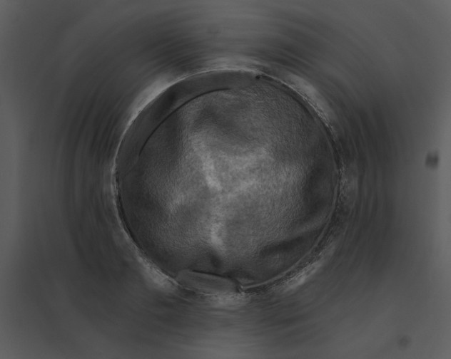 X0000095550893200801041328