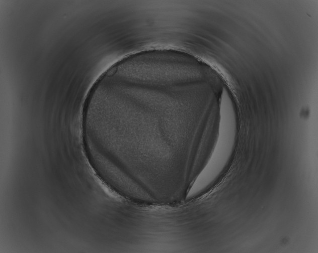 X0000095550894200801041328