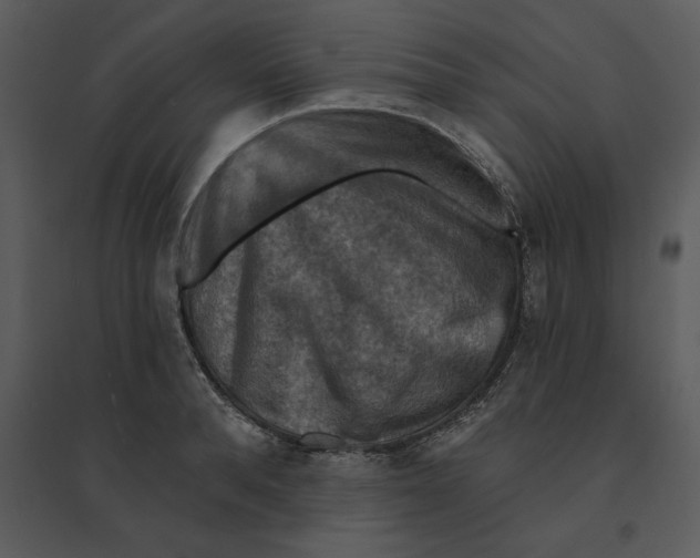 X0000095550896200801041328