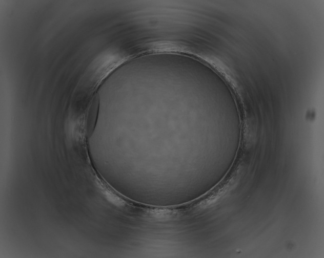 X0000095550897200801041328