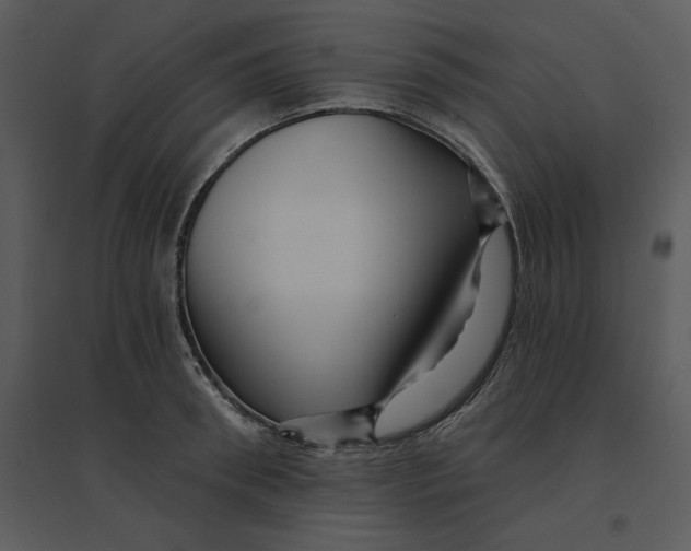 X0000095550898200801041328