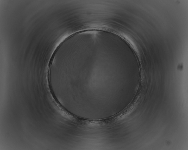 X0000095550899200801041328