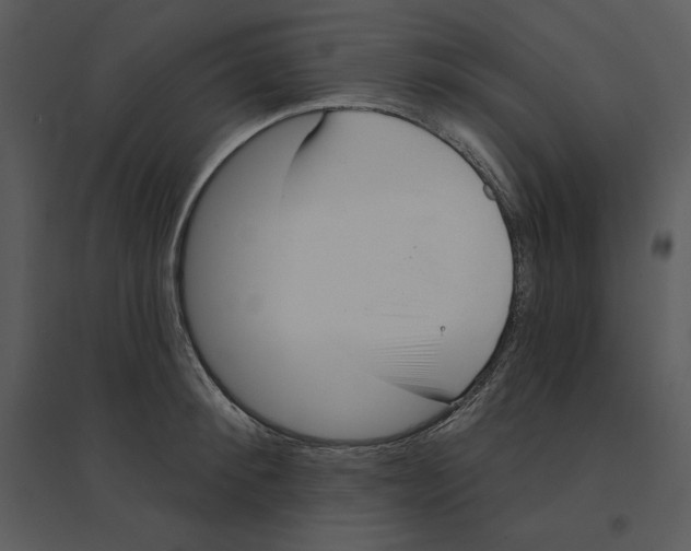 X0000095550900200801041328