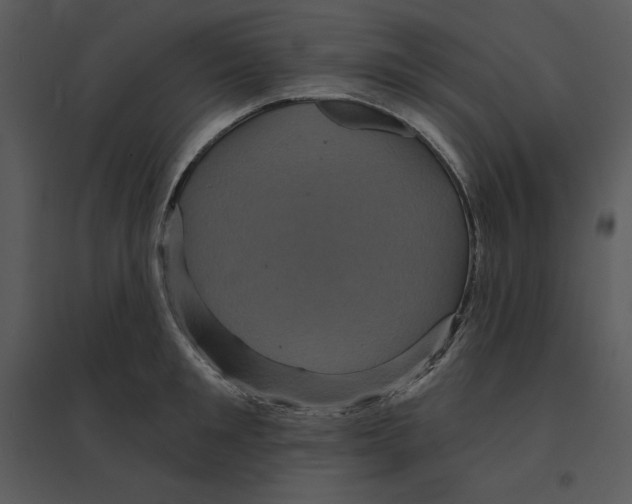 X0000095550901200801041328