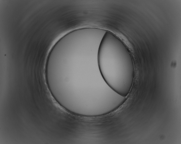 X0000095550904200801041328